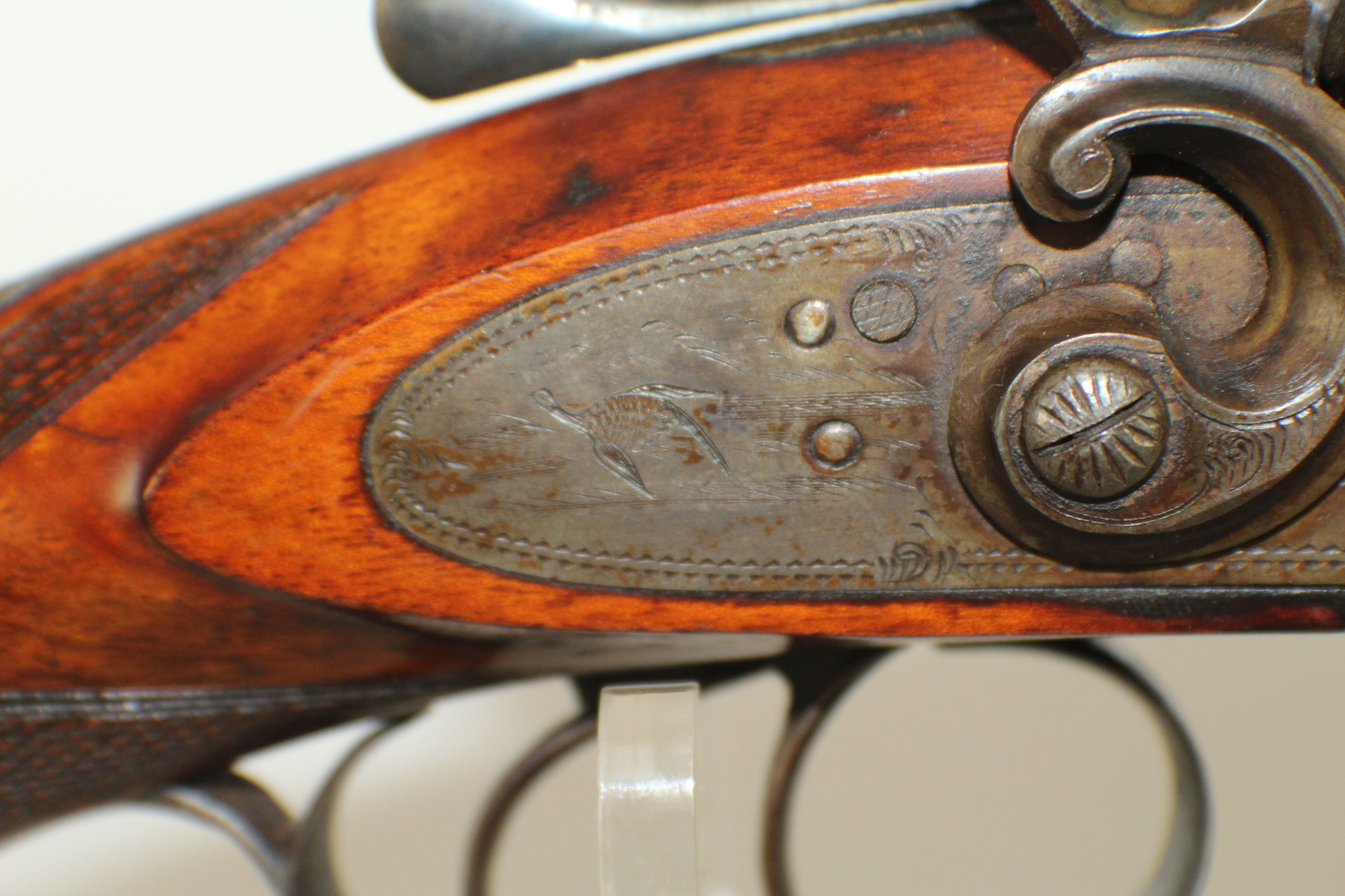 Antique Double Barrel Shotgun Identification My Xxx Hot Girl