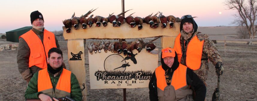Antique Parker Shotgun Quail and Pheasant Hunt 020