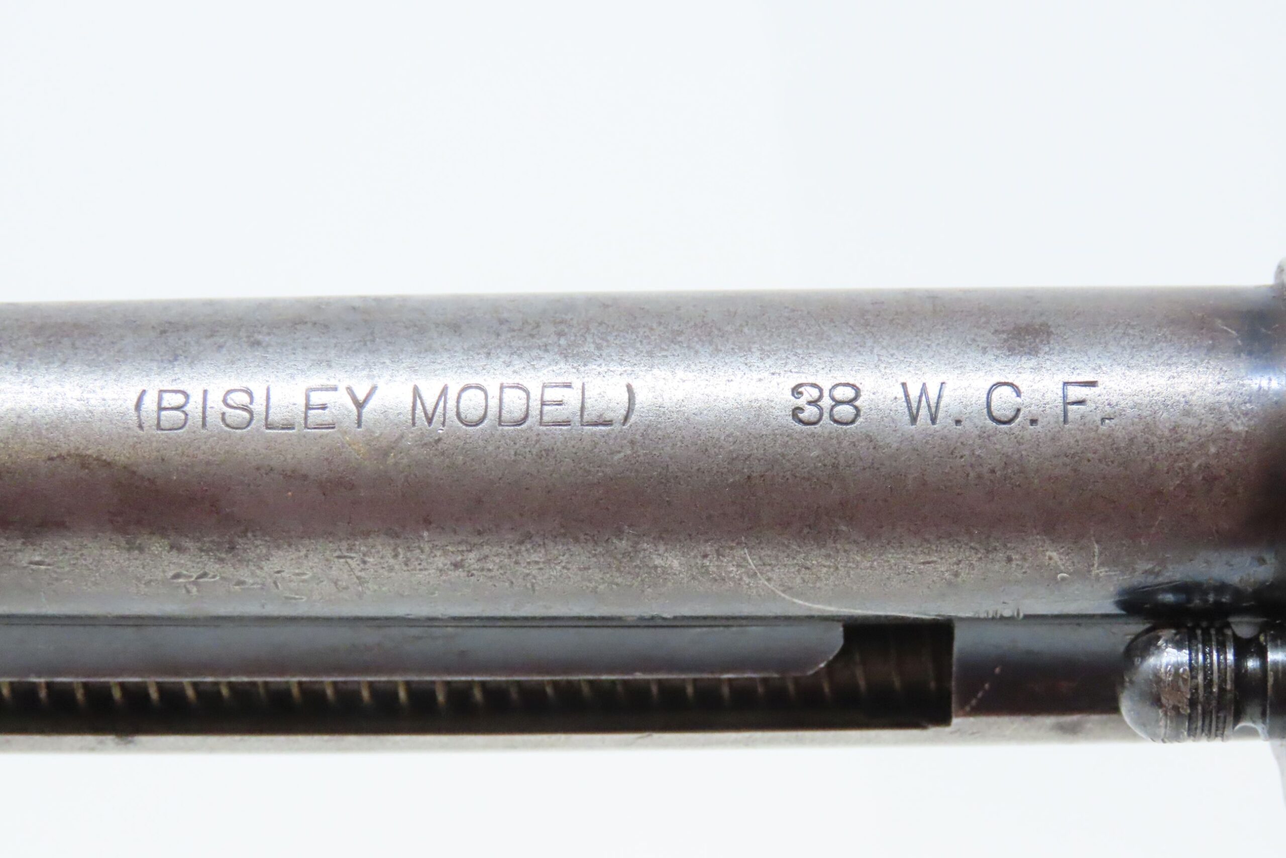 Bisley Pest Control .22 Pellets | Wolfman - View #6