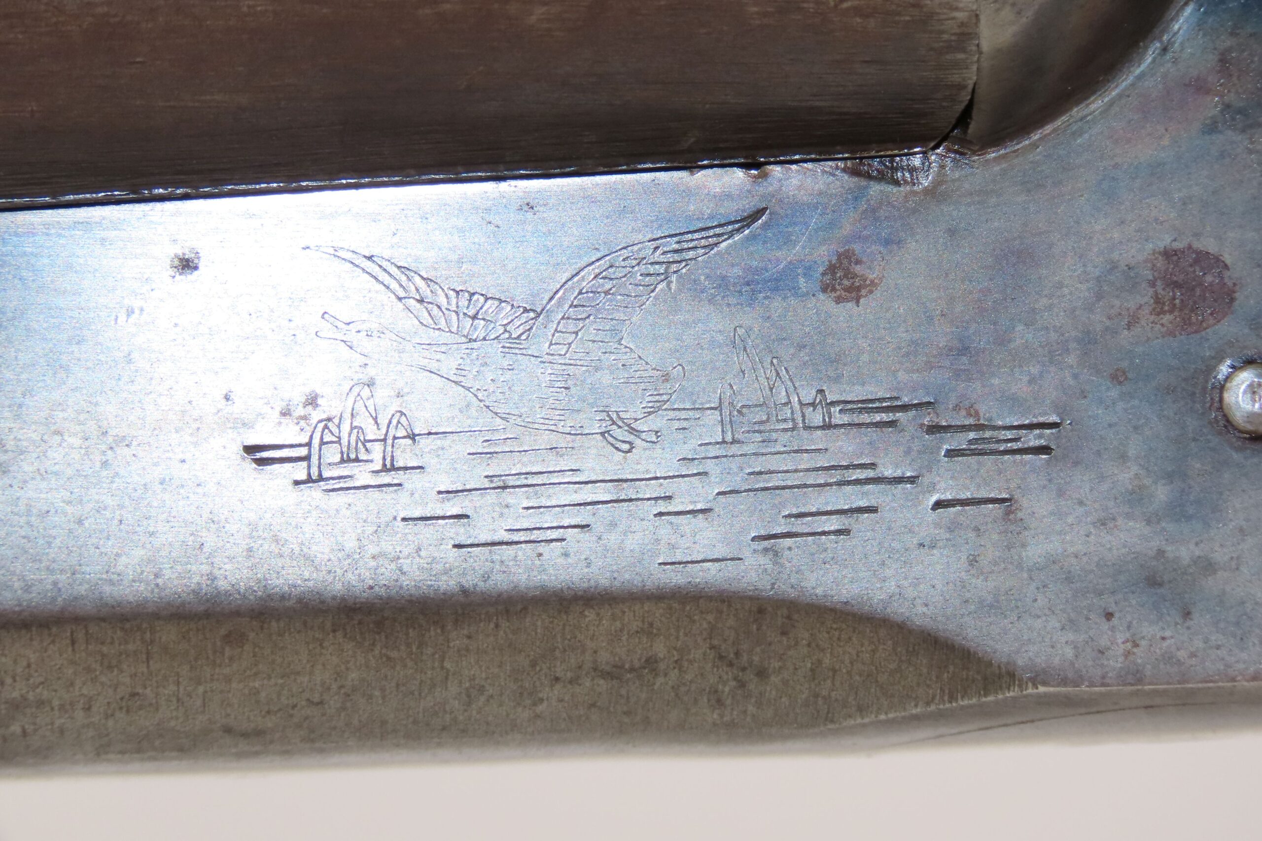 LEFEVER ARMS Co 12 Ga NITRO SPECIAL Side x Side HAMMERLESS Shotgun C&R 1923 1923 mfg. Double Barrel HUNTING/SPORTING Shotgun - Image 7